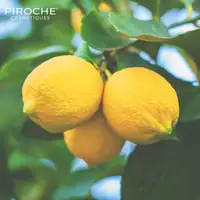 Aroma Hydro Bath - Energy